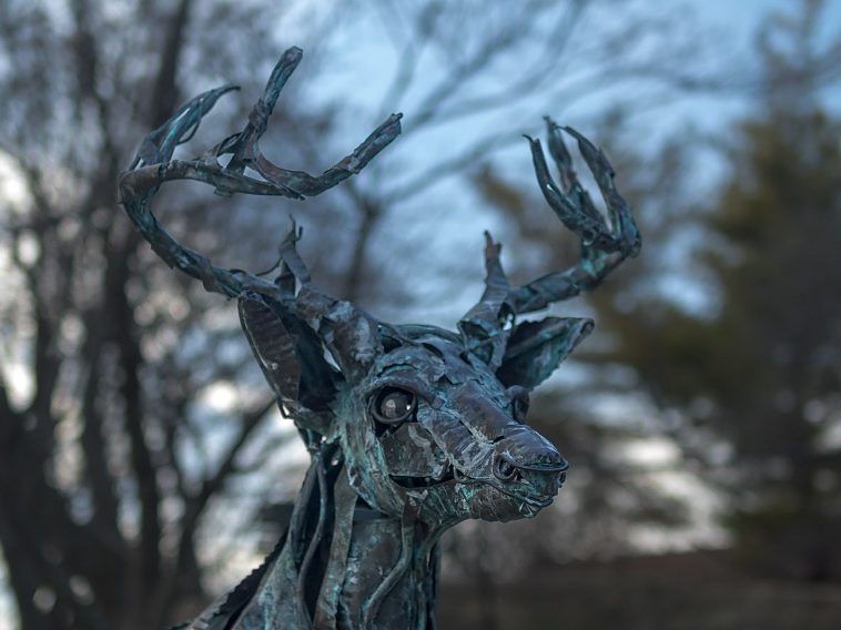 White balance matters